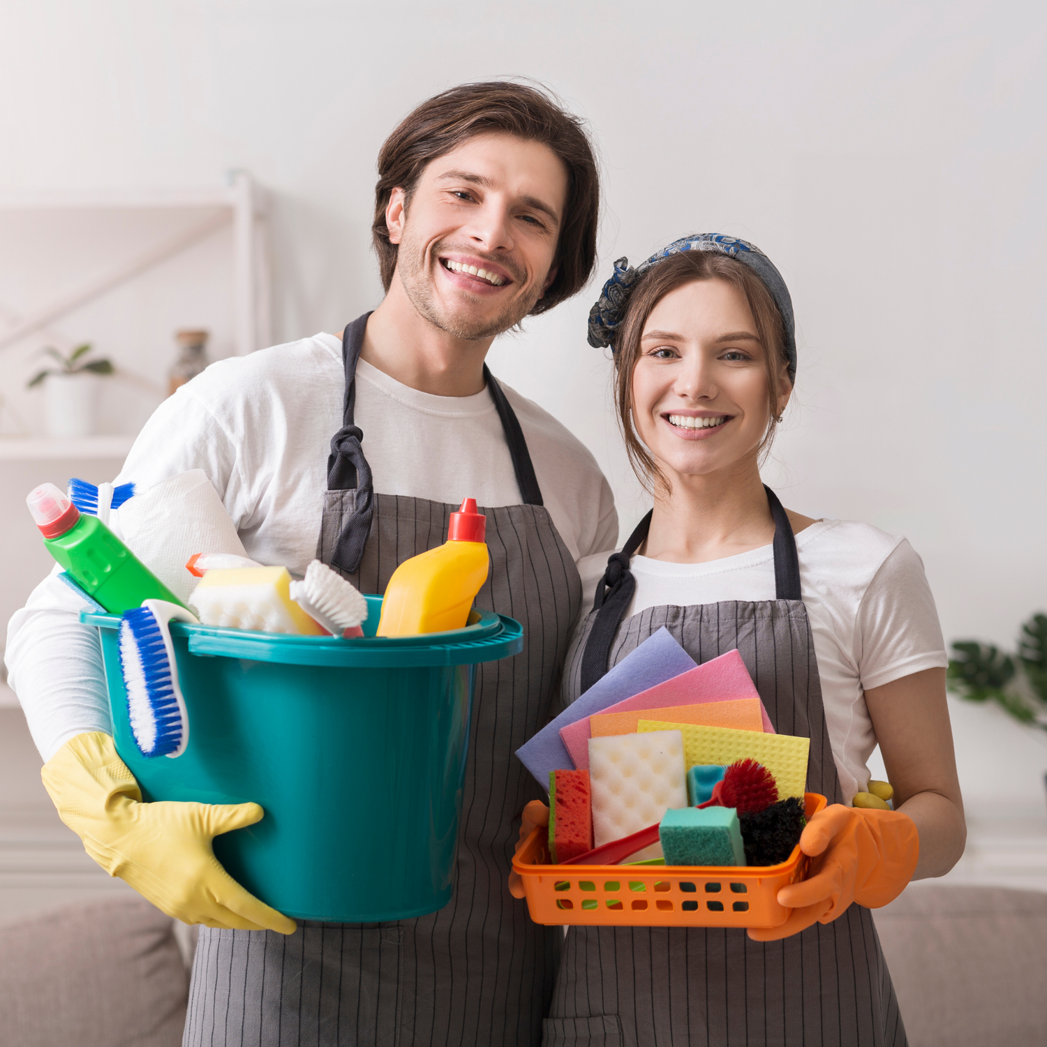 Household Cleaners