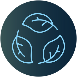 Multicultural identity, connecting with diverse markets and environments